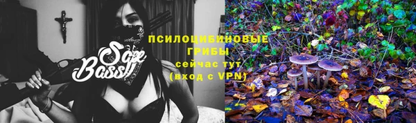 mdpv Алексин