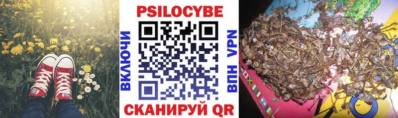 Галлюциногенные грибы Magic Shrooms  Медынь 